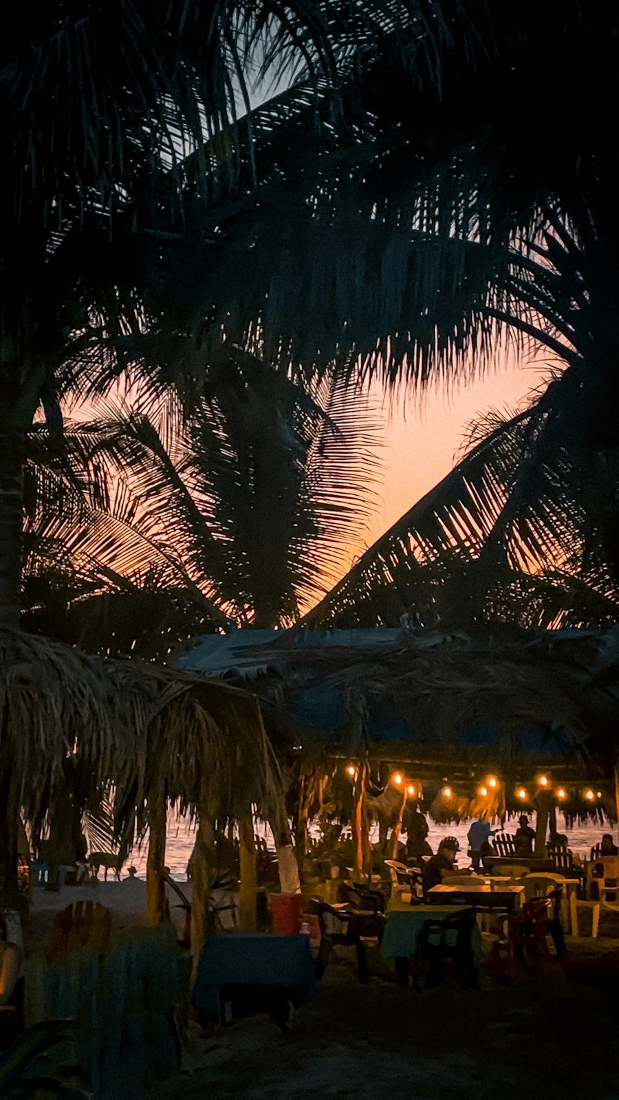 Tardes junto al mar en Puerto Escondido