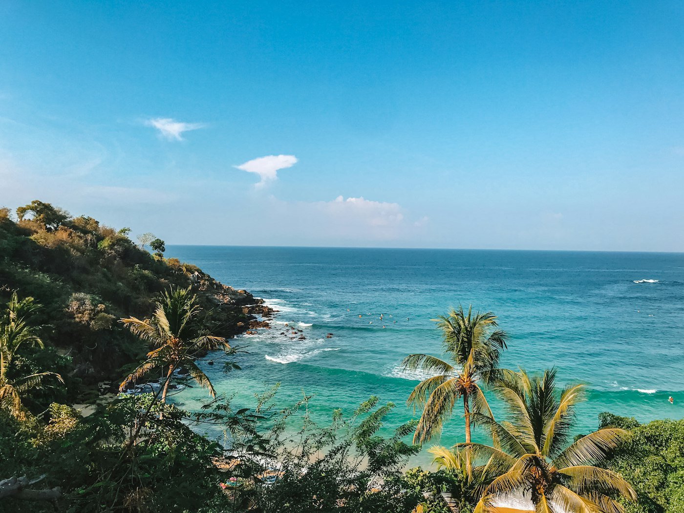 Carrizalillo en Puerto Escondido